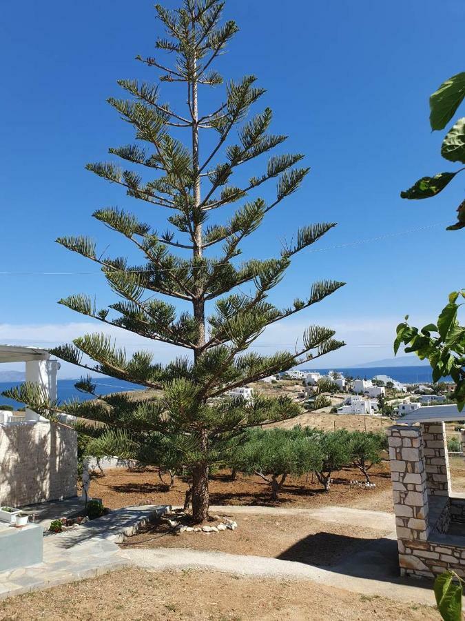 Anthoula'S Sea View Apartment Piso Livadi Zewnętrze zdjęcie