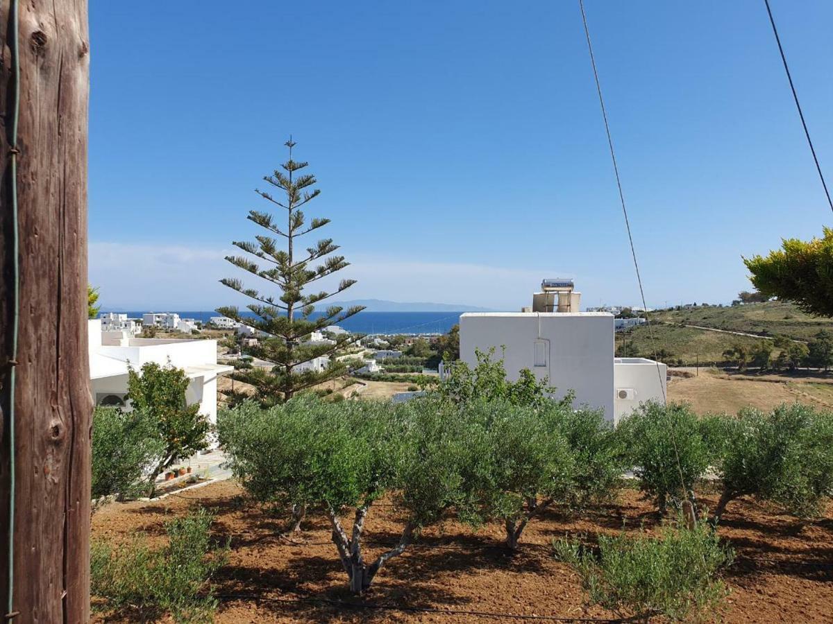 Anthoula'S Sea View Apartment Piso Livadi Zewnętrze zdjęcie